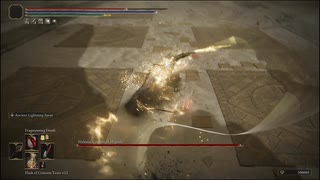 真なるミケラの王【Elden Ring The Garden of Eyes】