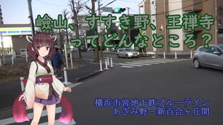 #124【緑の美しい丘陵地】横浜市営地下鉄ブルーライン延伸予定地を巡る