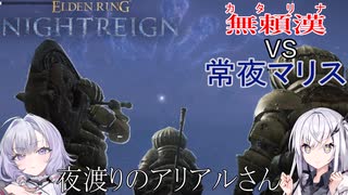 【ナイトレイン】夜渡りのアリアルさん　９話【アリアル実況】