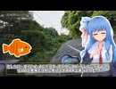 おさかなつーりんぐ③