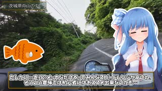 おさかなつーりんぐ③