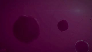 SEXYROCKBABY - X-CODEs