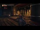 PC免steam版《忍者龍劍傳2：黑之章》超忍-困難-第一期 (5)