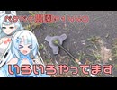 2025年8月2日　農作業日誌P1440　暑さに負けないようにいろいろ工夫しながらがんばろう！