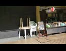 遂にキタ～　奇行紀行