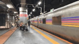 【VRChatワールド紹介】カシオペア＠上野駅13番線 Cassiopeia - Platform 13‚ Ueno Station
