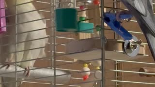 寝かしつけ屋？