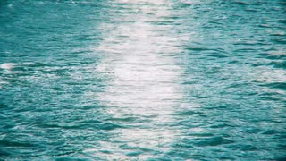 MIDy - 最期に feat.初音ミク [trndy episode.7 -side α-]