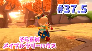 【ゆっくり】姫様と雑談マリカ8DX　#37.5