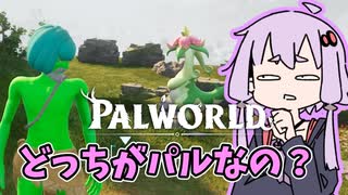 【Palworld】どっちがパルなの？
