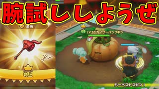 強くなった俺様を実感する時がエクスタシー【ファンタジーライフｉ】#51