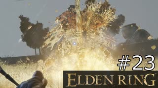【ゆっくり実況】ELDEN RING Part23