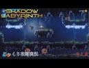 【SHADOW LABYRINTH】第18回　２つの高エネルギー体を確保しろ　じっくり攻略実況　シャドウラビリンス