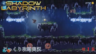 【SHADOW LABYRINTH】第18回　２つの高エネルギー体を確保しろ　じっくり攻略実況　シャドウラビリンス
