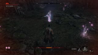 sc^イカれた生放送(SEKIRO)　２７－１１