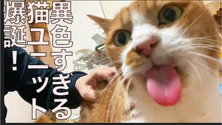 異色すぎる猫ユニット、爆誕する