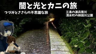 闇と光とカニの旅【ボイスソフト自作立ち絵投稿祭】