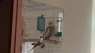 二度寝はダメ〜□
