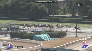 チャチャコマニ　2歳新馬