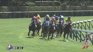 プロメサアルムンド　2歳新馬