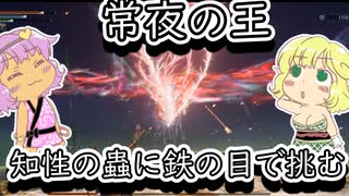 【エルデンリングナイトレイン】常夜の蟲にソロで挑むおねーちゃん