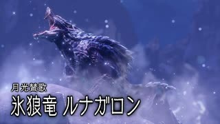 気の向くままにモンスターハンターライズ　サンブレイク実況プレイする【S8狩目】