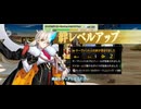 【FGO】戦闘動画。