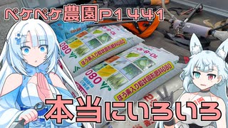 2025年8月3日　農作業日誌P1441　肥料も、草刈りも、土寄せも、草取りもといろいろやった日