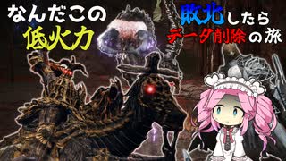 驚異の火力！ガードカウンターで戦ったらまさかの結果に…！？　ぼっち渡り敗北したらデータ削除の旅　【ELDEN RING NIGHTREIGN】【エルデンリング ナイトレイン】
