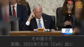 米上院公聴会　専門家がコロナウイルスとワクチンによる致命的な血液凝固の危機証拠を提示