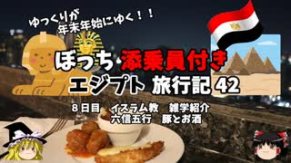 【ゆっくり】エジプト旅行記　42　六信五行と豚とお酒