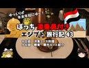 【ゆっくり】エジプト旅行記　43　豪華洋食コース料理
