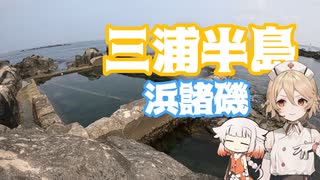 【XSR125】お気に入りのシュノーケルスポットへ【三浦半島浜諸磯】