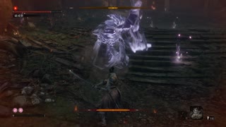 sc^イカれた生放送(SEKIRO)　２７－１３