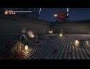 PC免steam版《忍者龍劍傳2：黑之章》超忍-困難-第一期 (12)
