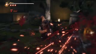 PC免steam版《忍者龍劍傳2：黑之章》超忍-困難-第一期 (13)