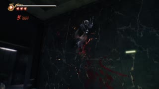 PC免steam版《忍者龍劍傳2：黑之章》超忍-困難-第一期 (16)
