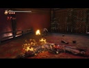 PC免steam版《忍者龍劍傳2：黑之章》超忍-困難-第一期 (18)