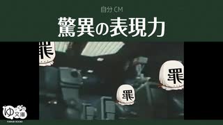 【ゆっくり文庫】自分CM「驚異の表現力」