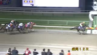 第39回ひまわり賞（オークス）（フォーウィールドライブ賞） ミナトミナイト