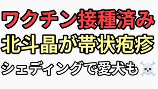 ワクチン接種済み北斗晶が帯状疱疹になる　愛犬もシェディングで亡くなる