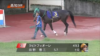 サンケイスポーツ創刊７０周年記念 第29回黒潮菊花賞［地方全国交流］ パドック～本馬場入場