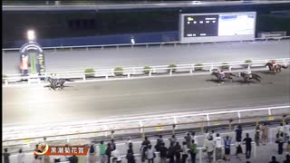 サンケイスポーツ創刊７０周年記念 第29回黒潮菊花賞［地方全国交流］ ラピドフィオーレ