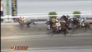 2025年8月3日高知競馬8R メジカ特別(A-3組) モズゴールドメダル