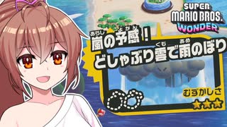 キメろ！マリオワンダー #32【スーパーマリオブラザーズワンダー】