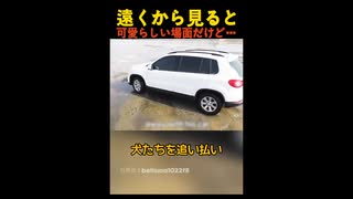 ホモと見る 一般人たちがカメラで撮った映像4