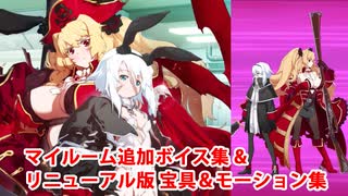 【FGO10周年】アン・ボニー＆メアリー・リード 追加マイルームボイス＆バトルボイス集＆リニューアル版バトルモーション集【Fate/Grand Order】