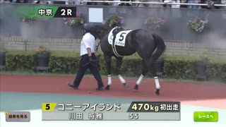 【ウマ娘風】8月2日中京2R メイクデビュー中京 2歳新馬～コニーアイランドデビュー戦～(2025)