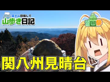 【ニコニコ登山祭】関八州見晴台で右膝の痛みと闘いつつ、おにぎりを食い富士山を望む【ゆる登山】