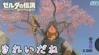 【ゼルダの伝説BotW】初めてのブレワイ！折れない心で未知の世界へ！#78【実況】